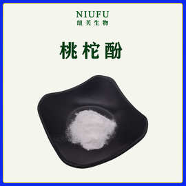 桃柁酚98%1g 桃拓酚511-15-9 桃柘罗汉松提取物