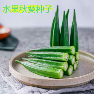 �߲˷N�� �S����N�Ӽt��� �ļ��� ��ɫ�߲� �I�B�߲��ļ��׷N