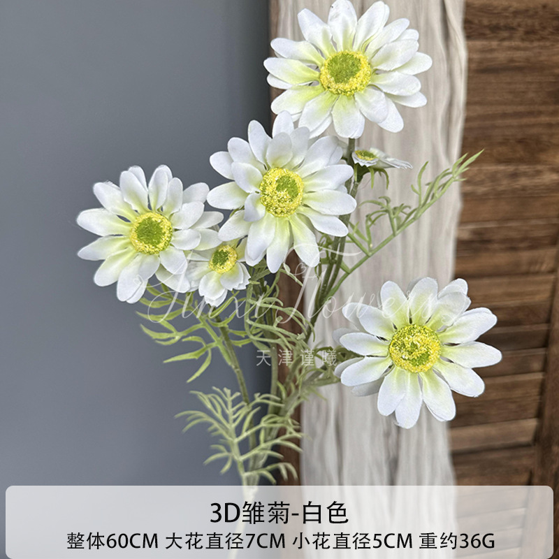 화이트