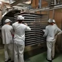 真空冻干原浆枸杞冻干机