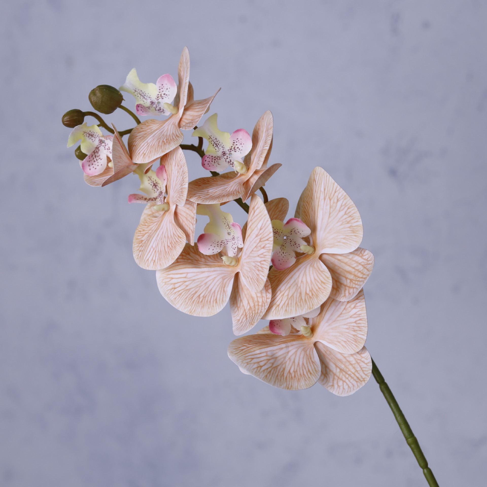 Impresión 3D de 7 cabezas de orquídeas mariposa flor de decoración de flores de alto nivel flor de nicho decoración floral decoración de sala de estar