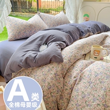 A�ĸ�뼉ȫ���ļ���2025�¿�޴��α��ִ��ҌW�����ᴲ������4