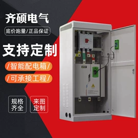 配电柜;电工电气项目