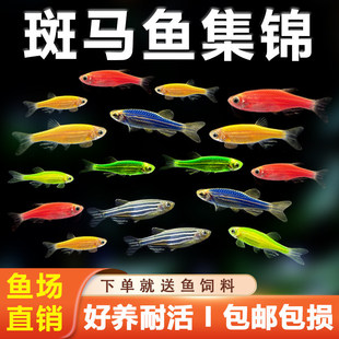 ���B�ͻ��^�p�~���w�߲ʰ��R��ȸ�~��ʹ��ɏ��С����ˮ���~�����