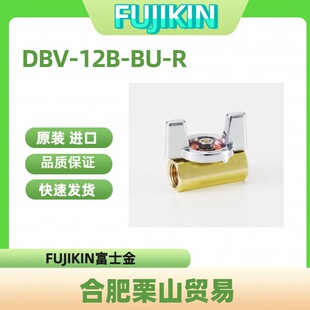 FUJIKIN��ʿ���S�~���yDBV-12B-BU-R/�y�T