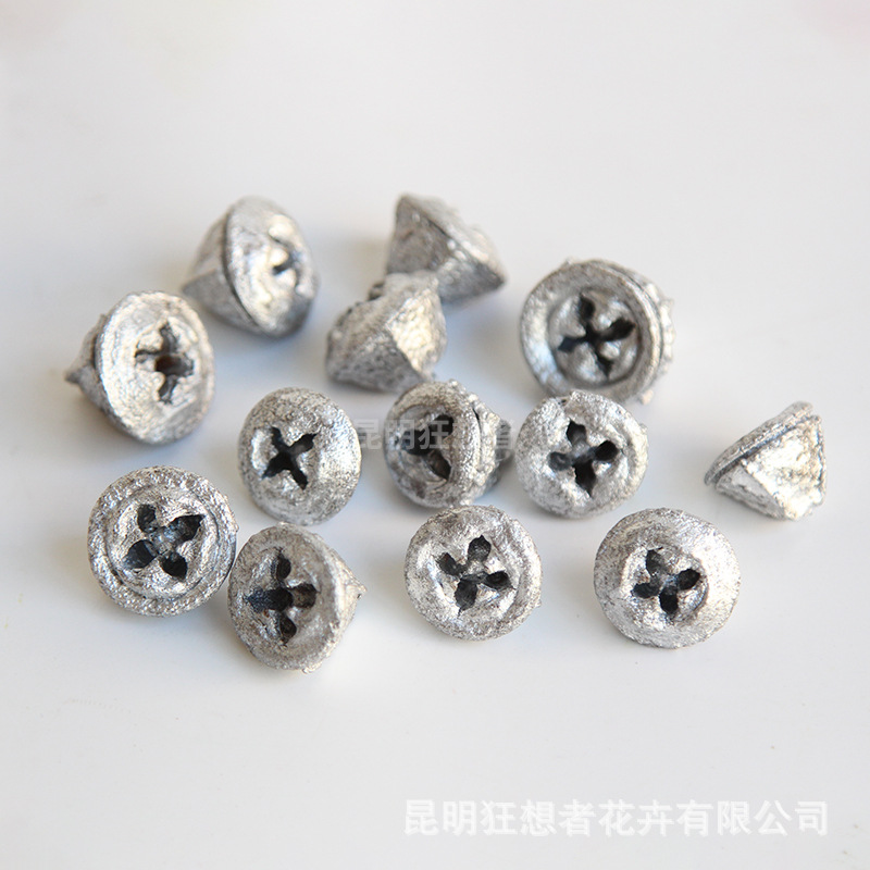 Vỏ bạch đàn bạc (túi 20g, khoảng 12 vỏ)