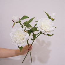 ˹ָбĵș҃ȼҾbˇʽ廨[zӰ