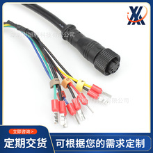 M12 5PIN公母防水连接线 TX60端子线 DIN5PIN电源充电线