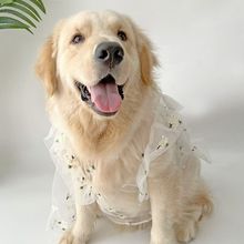 宠物狗狗中大型犬春夏冬衣服薄款婚纱西装婚纱礼服结婚萨摩金毛