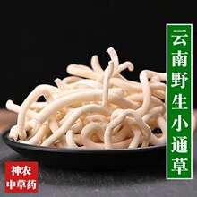 云南野生中药材小通草500g精选特级无硫中草药产后月子下乳汁中药