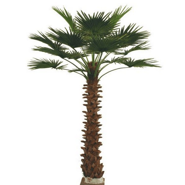 Palmeras de simulación de interiores y exteriores Palmeras de girasol de ancianos Simulación de paisaje Parque de plantas Cinturón verde Decoración Palmeras falsas