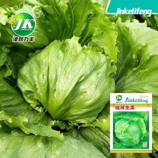 �Y�����˷N�ӈA���˴������ļ������˷N�����β˷N��������������