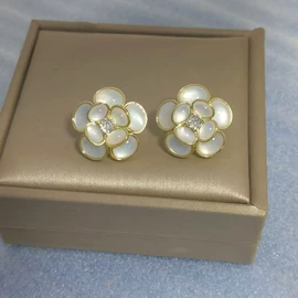 耳环;耳钉;项链