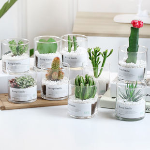 ����ֲ��M���������������ֲ���������k���ҾGֲ��ݗ�����l�ļ�