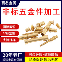 東莞旋盤CNC精密加工非標準黄銅精密部品自動車襟部品医療金物部品