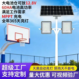 太阳能灯;投光灯;野营/露营灯