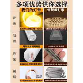 柔性灯带led灯条客厅圆形户外霓虹灯氛围广告工程亮化线条灯其他