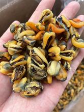 ���� ���� ��� ���rˮ�a��؛���l