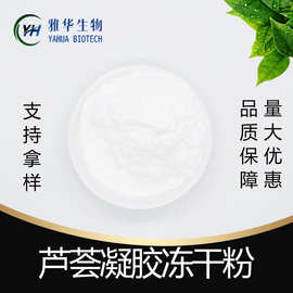 芦荟凝胶冻干粉 雅华供应 芦荟提取物 芦荟冻干粉  多规格