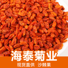 厂家批发内蒙食用沙棘果 新货沙棘果茶药食同源沙棘果粉 散装500g