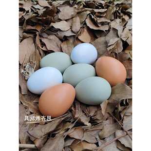 �G������ٞ��u������ľ�|�^�Ҽ�����������C���u�����M�Ĕz�T�f