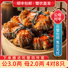 �F؛��з�K���з�r���з���lз���l�Fُ�Y���b���ֱ�]