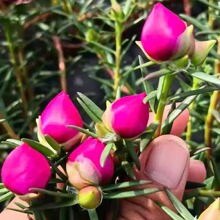�ذ�̫ꖻ��Ϙ�ĵ��õ�t����������ֲ��������޸��󻨎���