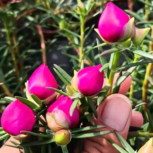 �ذ�̫ꖻ��Ϙ�ĵ��õ�t����������ֲ��������޸��󻨎���