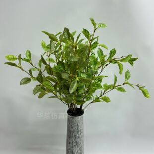 �����L֧�W�y�~�ٗl �G�~�����~���~ �W�y�~�ٗl ����~��ֲ��