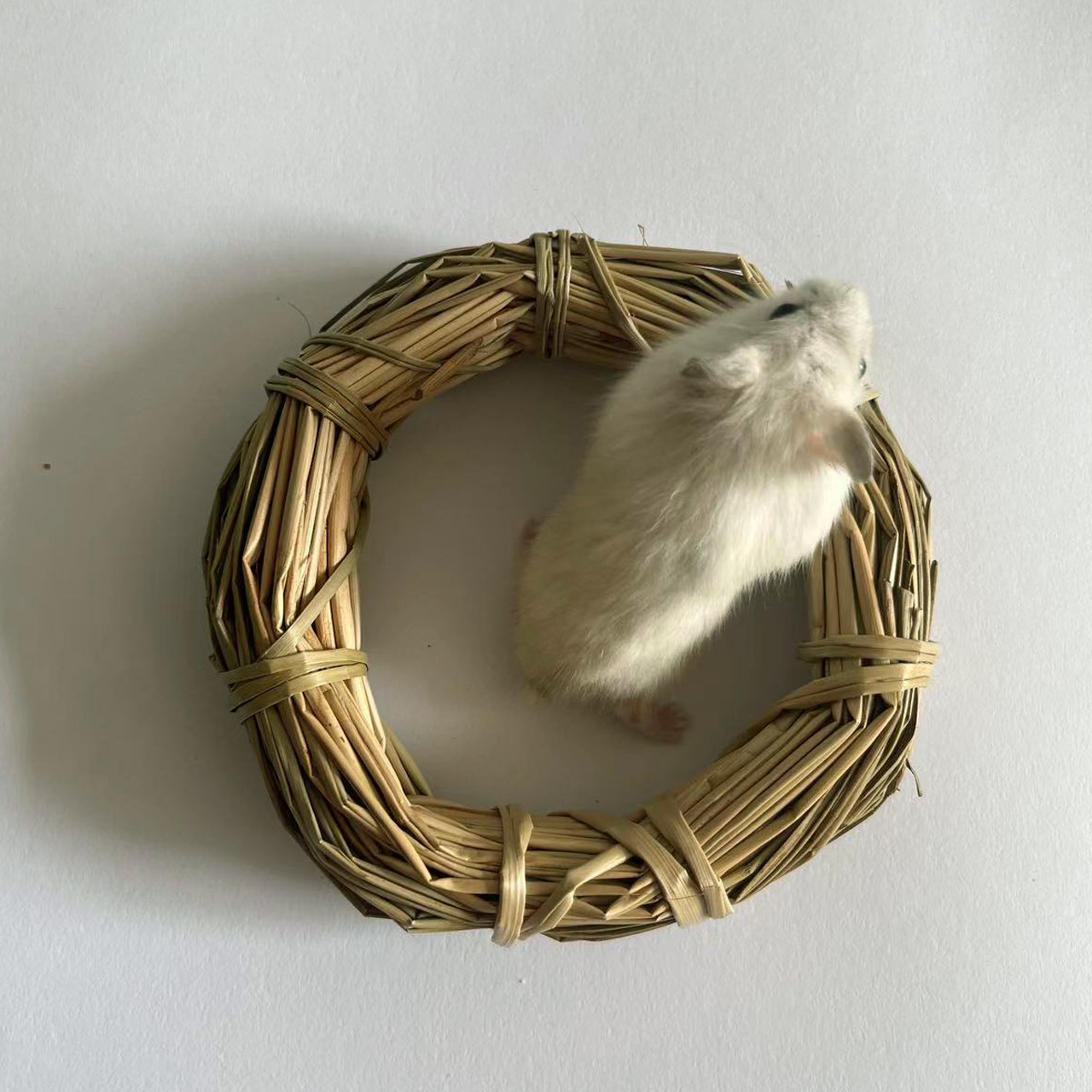Mano de paja anillo molar hierba pequeña mascota molares suministros conejo hámster dragón caballo mordedura aliviar juguetes tapados al por mayor