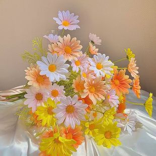 �羳5�^С�r��ins�L���յ��߼ٻ����ϻ������ҾӔ[��������ʾ�