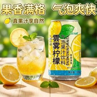 Ц���r��F���ʚ��ݹ�֭���320ml��ˬ�����֭�ļ���ʹ�ζ�Ʒ