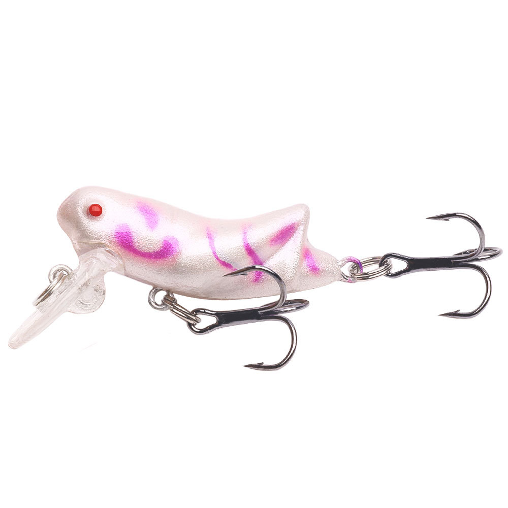 Meno-sanguinosa cebo de superficie de agua cebo de insectos cebo de peces cebo duro micro agua dulce nuevo cebo de luya