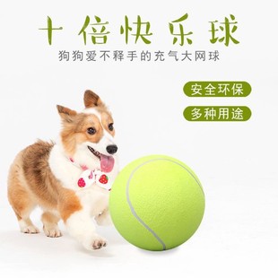 �����W��9.5��/24cm����W�� ���ﹷ��ʮ���옷���ղ؏V��W��