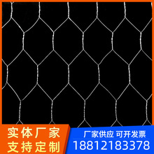 ���@�W���݇����u�z�W����c�bW�羳������ˇ�ř���\�z���ǾW