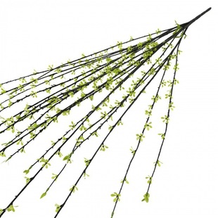 �h��֦ ��ѿ �� �Gֲ ֲ�﹤�̾Ƶ�Ҿӻ�c��ػ������Q