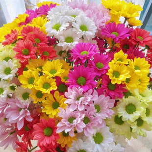 СrշNӬرļ׷N҃ͥԺ̨GֲܷN