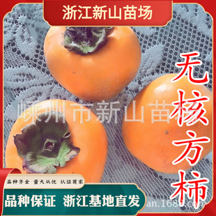 �㽭 �o�˷��� ������ ������ �o�˷����� �R������ ��������