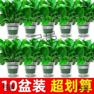 ȩG}҃Ȼ·}LlGֲֲGjˮ