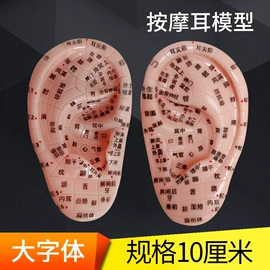 保健器具配件;护腰;医药教学器材