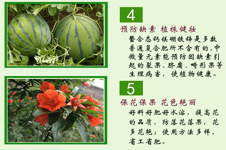 5详情产品特点及功效3-1