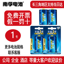 丰蓝一号电池南孚电池燃气灶电池大号热水器电池煤气灶一号干电池