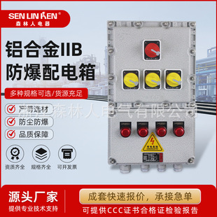 Aluminum Alloy Iib Explosion-Proof Distribution Box Junction Box Explosion-Proof Terminal Bt4/Ct6 Module Branch Equipment Monitoring Box