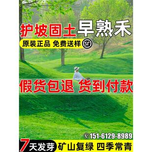 ����̲��Ѷ������ļ������o�¹����Vɽ���B�ޏ;G�����̲�ƺ�N��