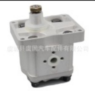 Hydraulic pump 1930061 1901322 87725756, 756465 4058112,