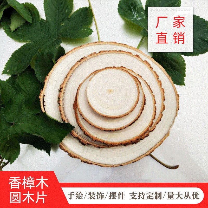 Camphor Wood Round Wood Slices Camphor Wood Kindergarten DIY Art Painting Creation Wood Blocks Round Logo Wooden Pastoral Style