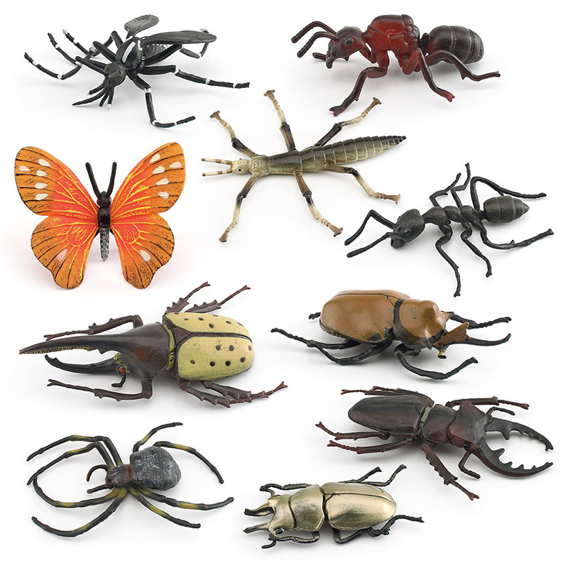 Transfronteriza Exportación de ciencia y educación infantil modelo animal simulación sólida mosquito mariposa Libélula Insecto animal adornos estáticos