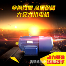 六安大川电机YE2EJ刹车制动一级能效三相异步电动机变频粉尘防爆