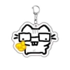 Spectacled cat