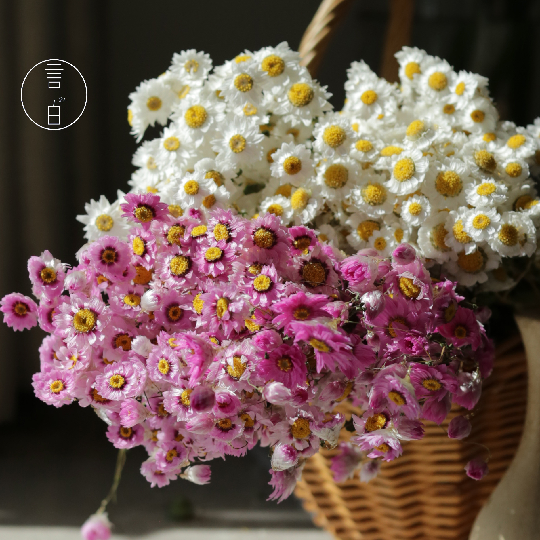 Rudan Bird, Rodansgan Flower, Influencer Bouquet, Yunnan Manufacturer Wholesale, Home Decor, Photography Prop, Instagram Style